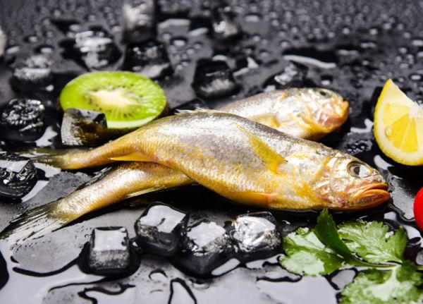 小黃魚.jpg