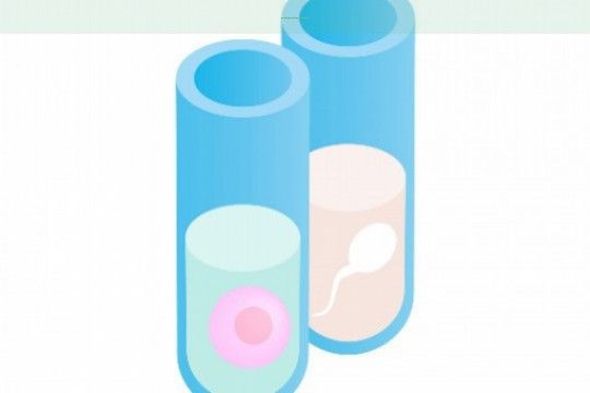 〖南通第三方助孕機構是哪三家,附各機構試管成功率一覽〗