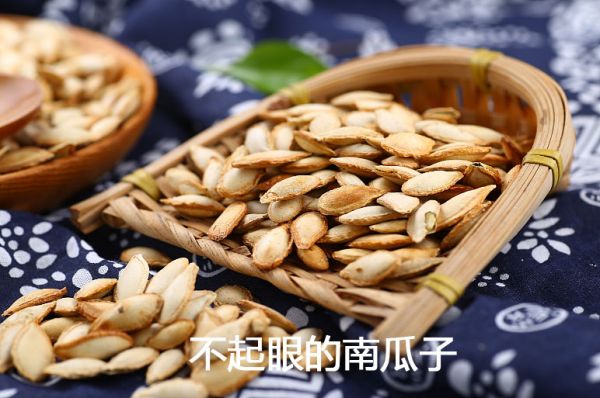 不起眼的南瓜子，營養(yǎng)豐富淺談