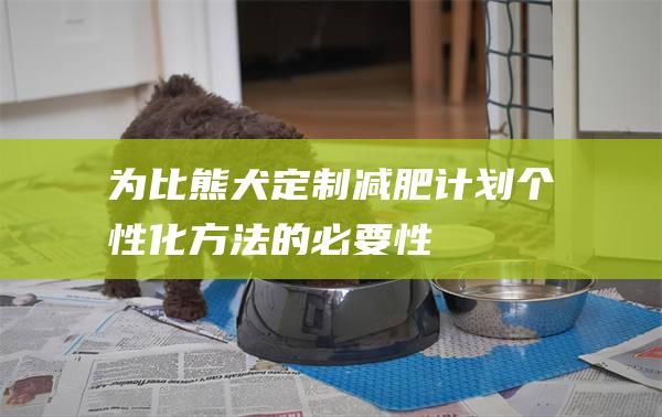 為比熊犬定制減肥計劃個性化方法的必要性