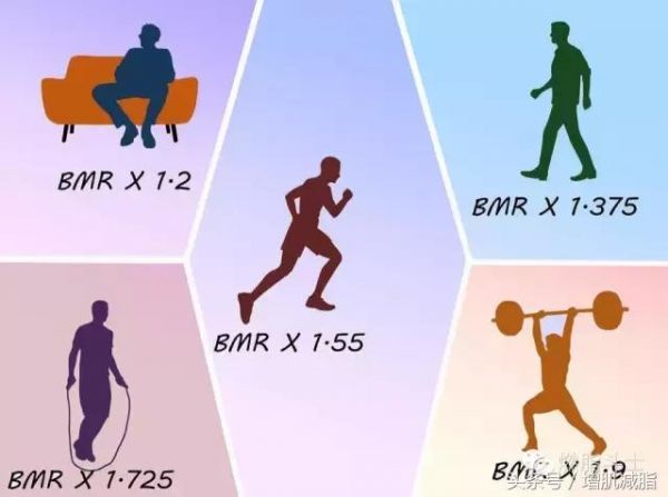 什么是基礎(chǔ)代謝率？了解身體代謝，幫你減肥加速度