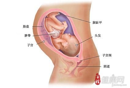番茄炒蛋的制作方法