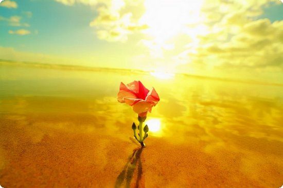 营养健康减肥套餐