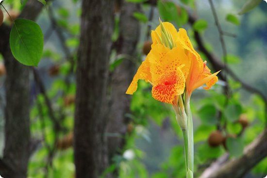 营养健康减肥套餐