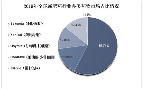 報告