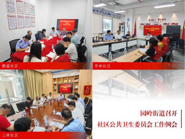 群眾自治，共筑健康防線：園嶺街道召開社區(qū)公共衛(wèi)生委員會工作例會