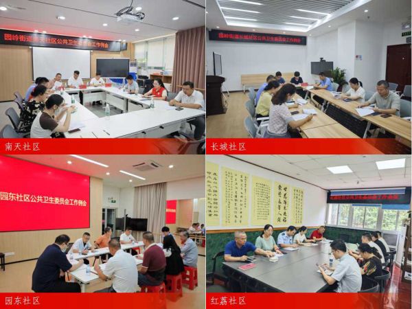 群眾自治，共筑健康防線：園嶺街道召開社區(qū)公共衛(wèi)生委員會工作例會