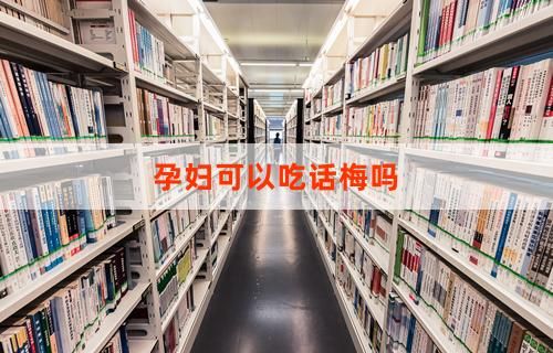 孕妇可以吃话梅吗