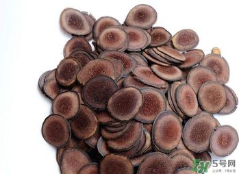 鹿茸不能和什么一起吃？鹿茸不能與什么同食？