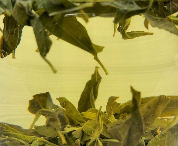 番茄炖豆腐，美味又健康