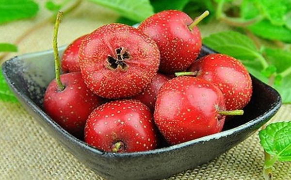 山楂的保健作用有哪些？怎樣吃山楂更養(yǎng)生？(1)