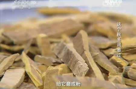 黃柏