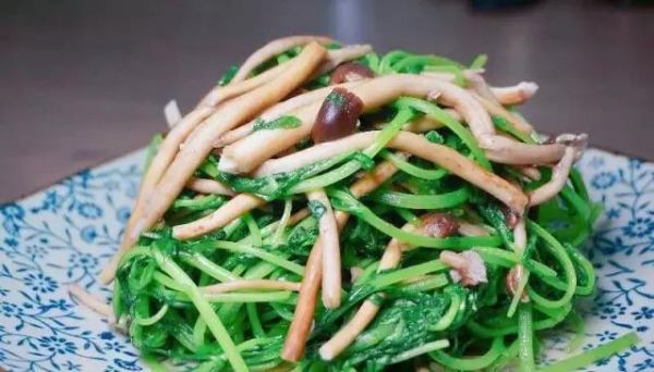 素食等于吃草？沒(méi)味道？推薦素食愛(ài)好者7款下飯菜，好吃不重樣！