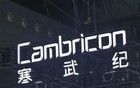 今年最讓人摸不著頭腦的當屬寒武紀這家公司。