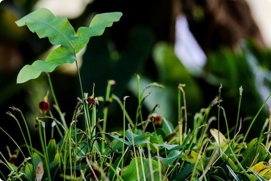 科學(xué)吃乳制品，可以減肥減脂