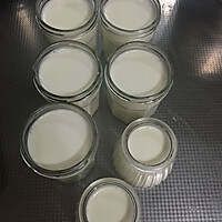 自制超好吃的原味老酸奶 天然无添加的做法图解6