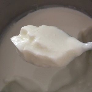 自制无糖老酸奶的做法步骤 第5步