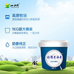 XIAOXINIU 小西牛 光明小西牛大桶装老酸奶益生菌发酵4.0g蛋白质原味老酸奶1kg*1桶