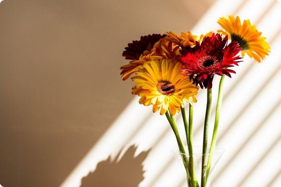 山式减肥瑜伽 瘦腿瘦腰瘦手臂