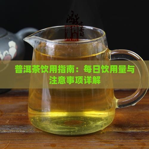 普洱茶飲用指南：每日飲用量與注意事項詳解