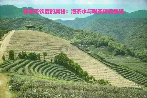 探索茶饮度的奥秘：泡茶水与喝茶体验解读