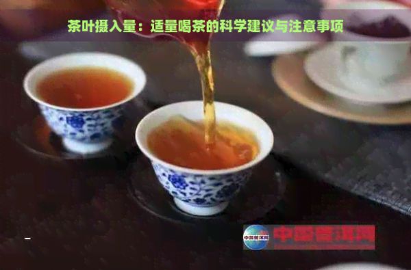 茶葉攝入量：適量喝茶的科學(xué)建議與注意事項(xiàng)