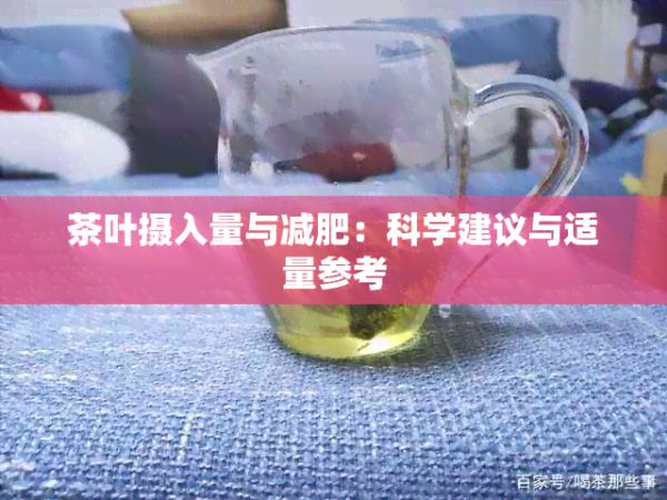 茶葉攝入量與減肥：科學(xué)建議與適量參考