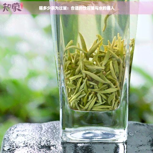 喝多少茶为过量：合适的饮用量与水的摄入