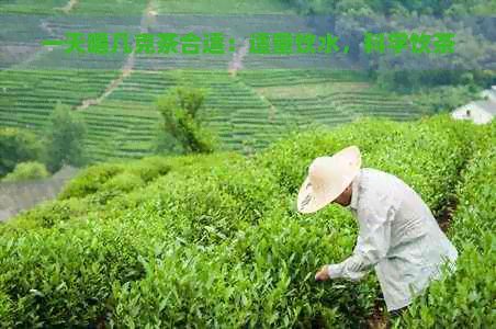 一天喝幾克茶合適：適量飲水，科學(xué)飲茶