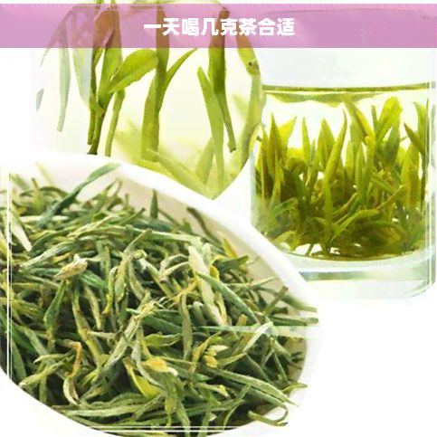 一天喝幾克茶合適