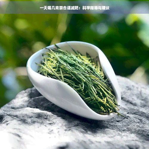 一天喝幾克茶合適減肥：科學指導與建議