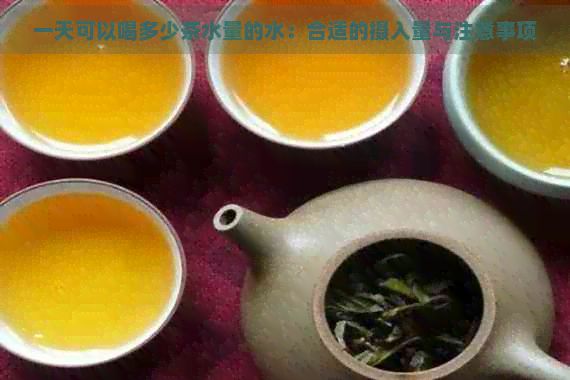 一天可以喝多少茶水量的水：合適的攝入量與注意事項