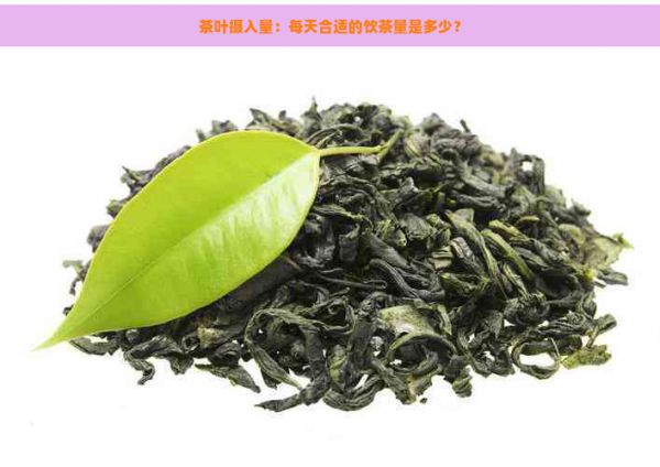茶葉攝入量：每天合適的飲茶量是多少？