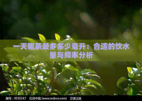 一天喝茶最多多少毫升：合適的飲水量與頻率分析
