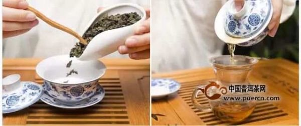 到底要放多少茶叶才合适？图解各种茶投茶量