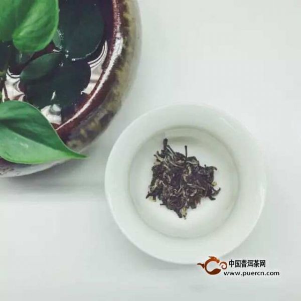 到底要放多少茶叶才合适？图解各种茶投茶量