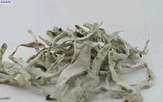 探索白雪茶的健康影響及飲用注意事項(xiàng)