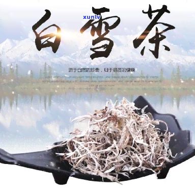 探索白雪茶的健康影響及飲用注意事項(xiàng)