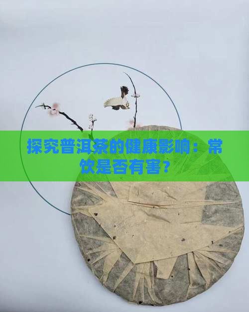 探究普洱茶的健康影響：常飲是否有害？
