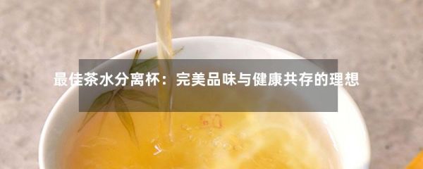 最佳茶水分離杯：完美品味與健康共存的理想選擇-第1張-綠茶-鳳凰單叢茶網(wǎng)