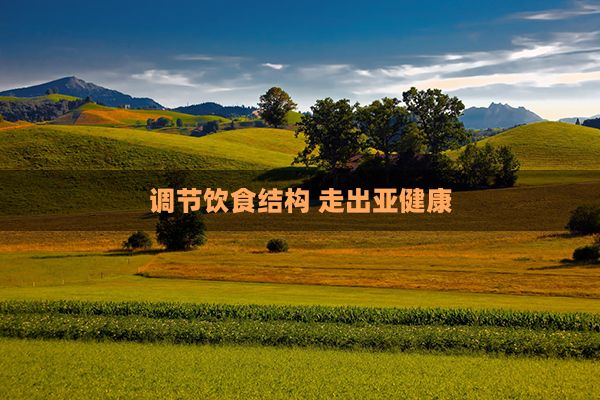 調(diào)節(jié)飲食結(jié)構(gòu)