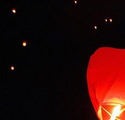 四種廉價食物最適合中老年人養(yǎng)生