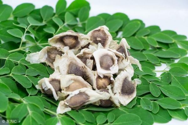 盤點5大燃脂神器！每晚睡前吃3粒，醒來瘦1斤??！