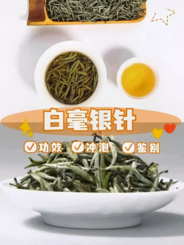 白毫銀針白茶的功效與作用詳解，健康養(yǎng)生必備
