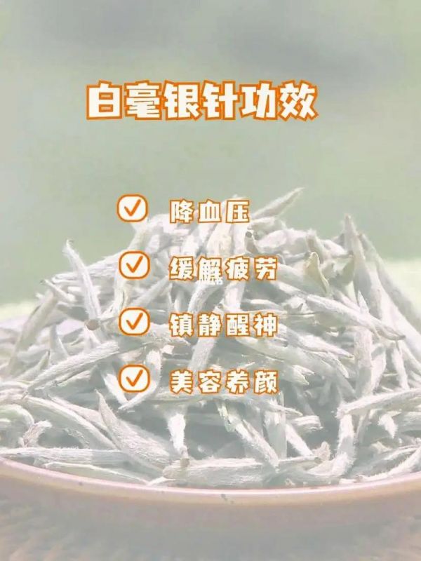 白毫銀針白茶的功效與作用詳解，健康養(yǎng)生必備