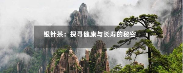 銀針茶：探尋健康與長壽的秘密-第1張-綠茶-鳳凰單叢茶網(wǎng)
