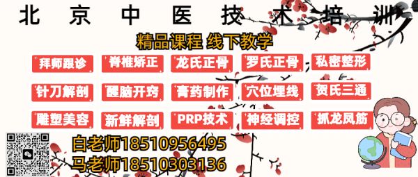 1月10日北京贺氏三通针灸传承讲习班