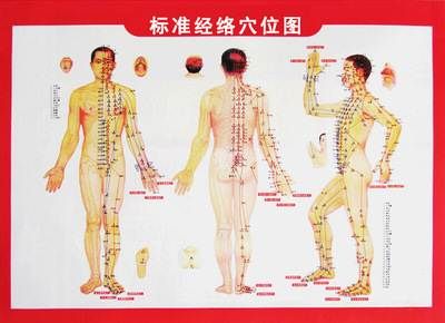 北京中醫(yī)經(jīng)絡推拿按摩培訓班