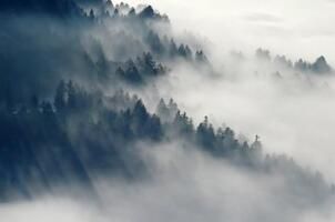 鄉(xiāng)民譽(yù)為“神針神藥”李氏中醫(yī)針灸第四代傳承人李國旗
