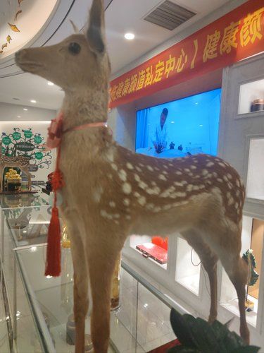 按摩后的輕松感覺